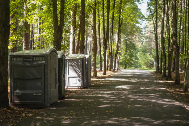 Best Wedding porta potty rental  in Shafer, MN